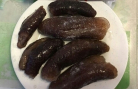 南美海參智利.png 南美海參智利.png